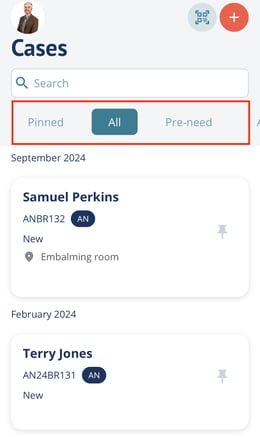 Case listing quick filters