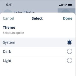 Display Theme options