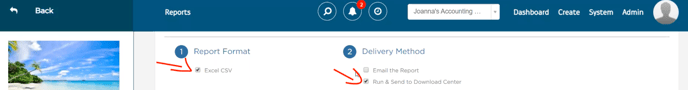Report Format -select Excel CSV,  for Delivery Method, select Run & Send to Download center