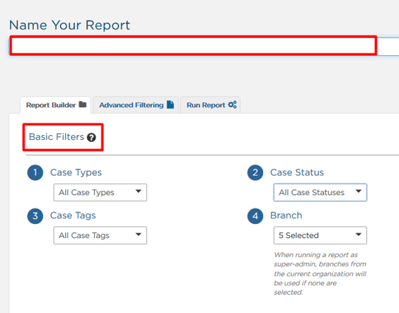 Name Your Report field and Basic Filters section