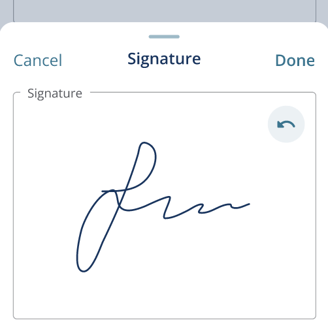 Drawn signature in signature field