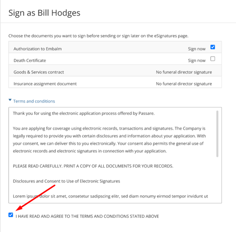 Director signing page with Terms and Conditions