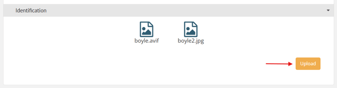 Identification photos icons